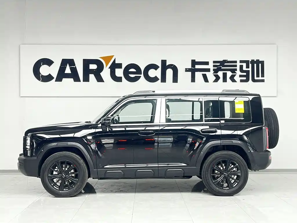Haval Menglong NEV Hi4 150 Pro LFP