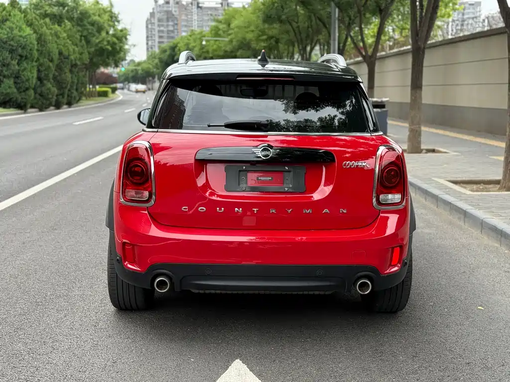 MINI COUNTRYMAN 2.0 T COOPER S ALL4 Artist