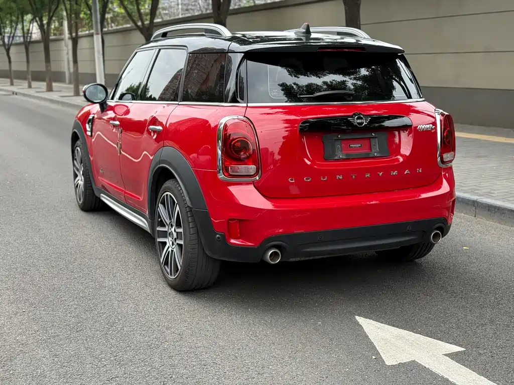 MINI COUNTRYMAN 2.0 T COOPER S ALL4 Artist