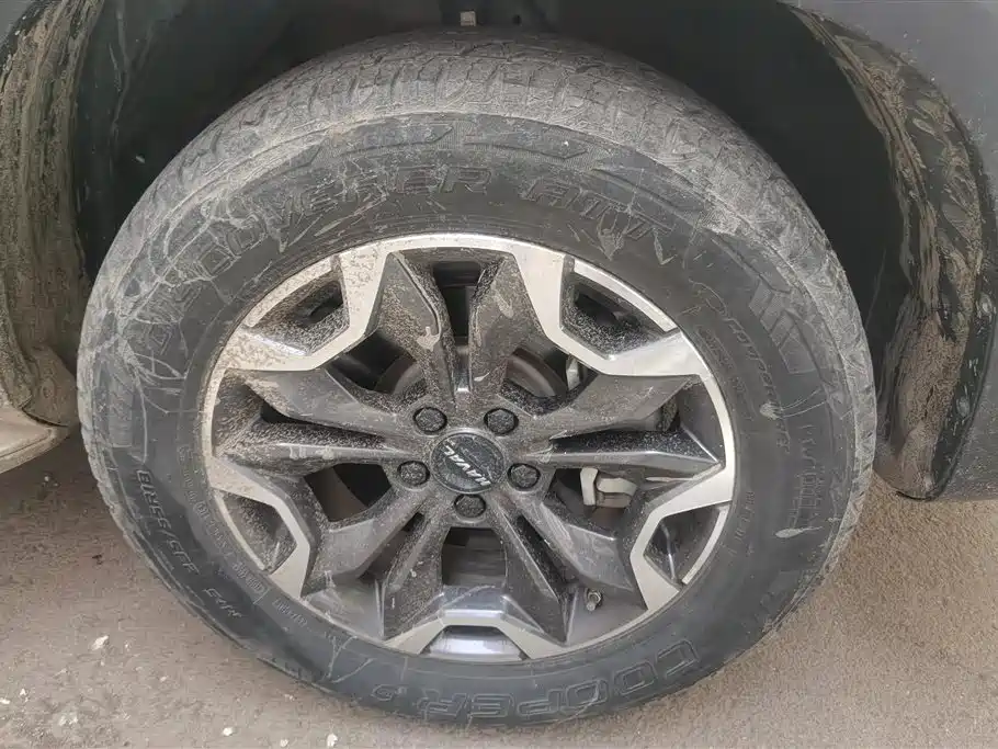 Haval Dargo 2.0 T DCT 4 WD Howling Dog