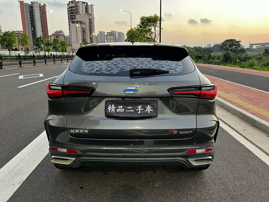 Changan Oshan X5 1.5 T DCT Distinguished