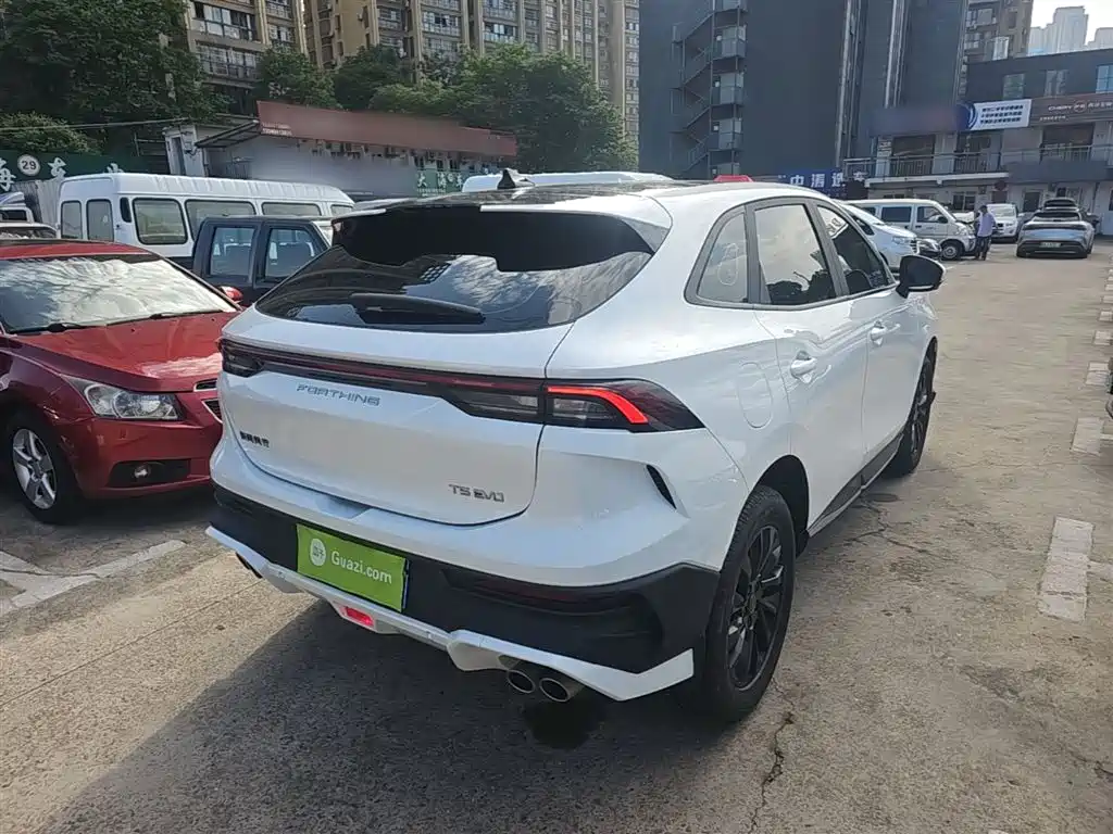 Fengxing T5 EVO Fury 1.5 TD DCT Platinum
