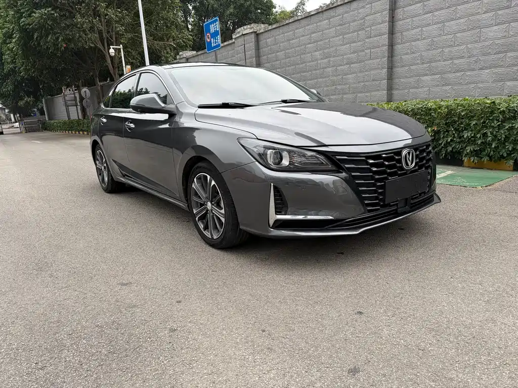 Ruicheng CC Blue Whale 1.5 T DCT Flagship