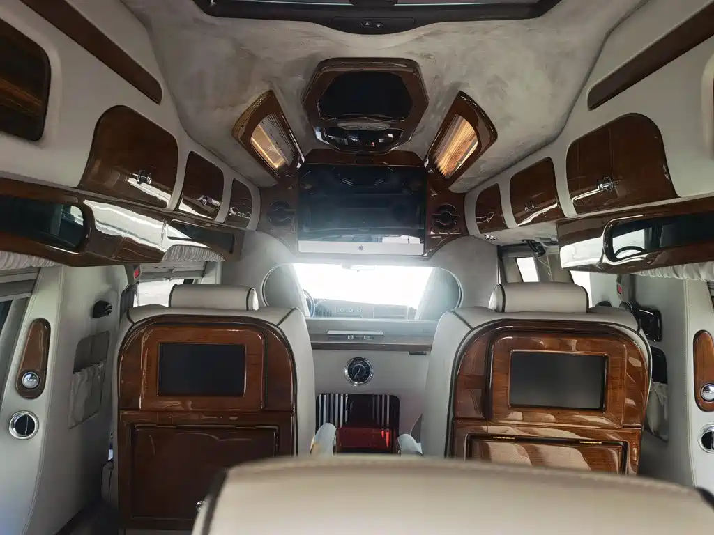 SAVANA 6.0 L Business Star 10-seat