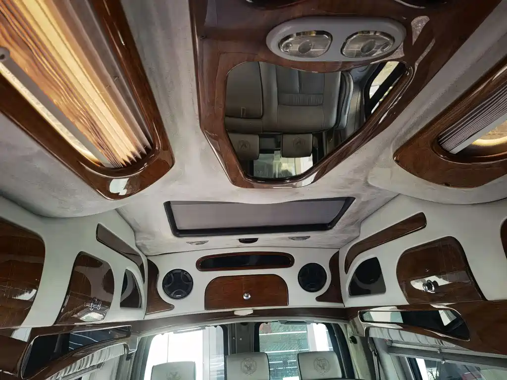 SAVANA 6.0 L Business Star 10-seat