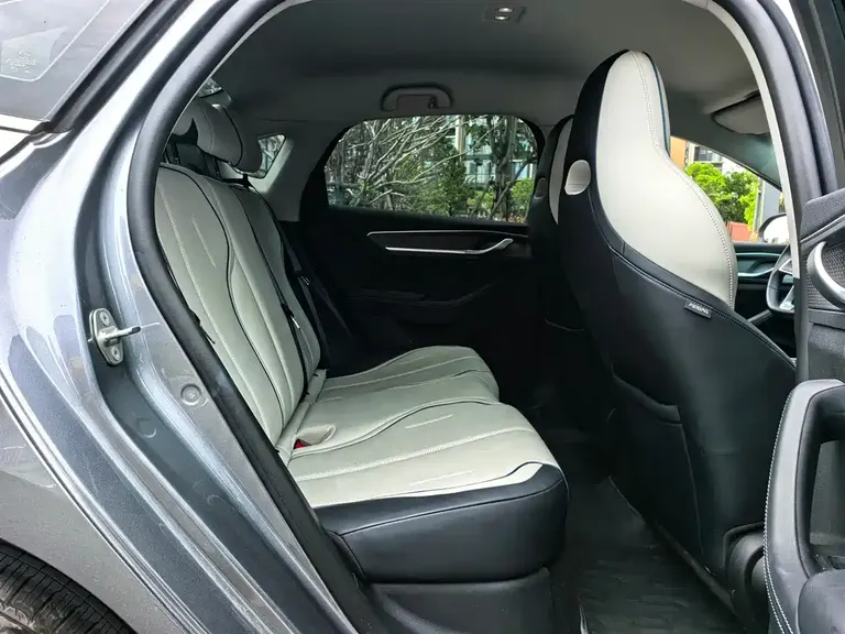 BYD Destroyer 05 Glory DM-i 55 KM Luxury