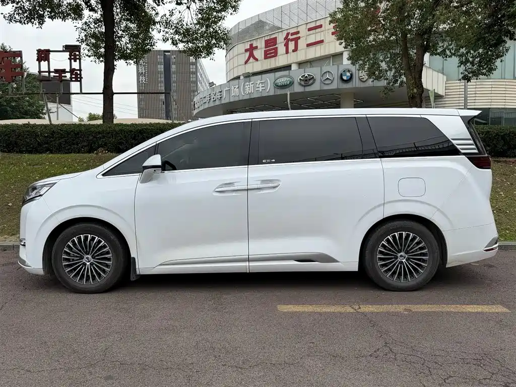 Denza D9 DM-i 1050 Premium