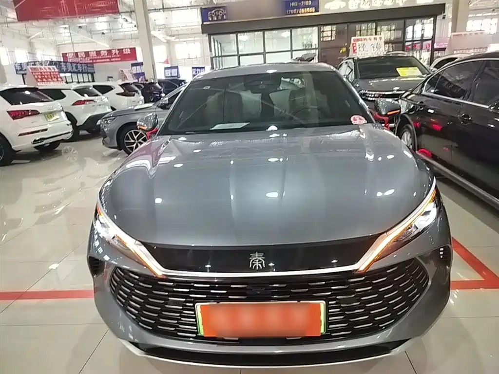 Qin L DM-i Smart Drive 120 KM Transcend