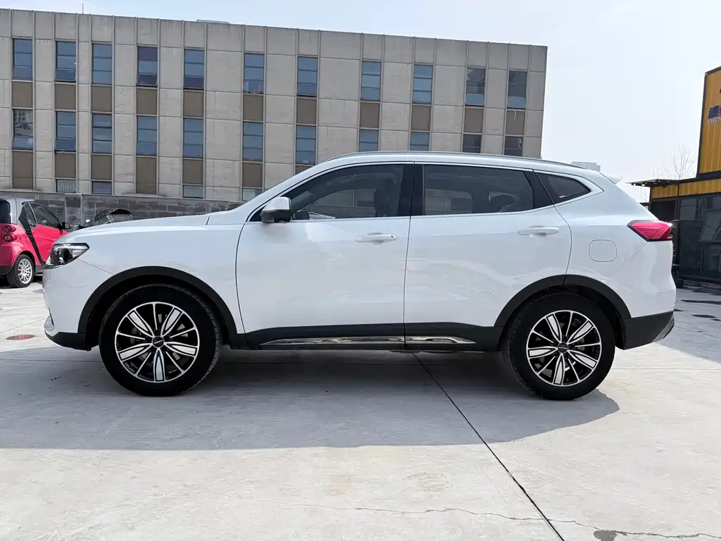 Haval H6 China Style 1.5 T Auto Champion
