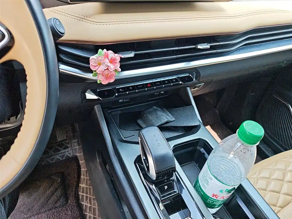 Haoyue L 2.0 T DCT Flagship