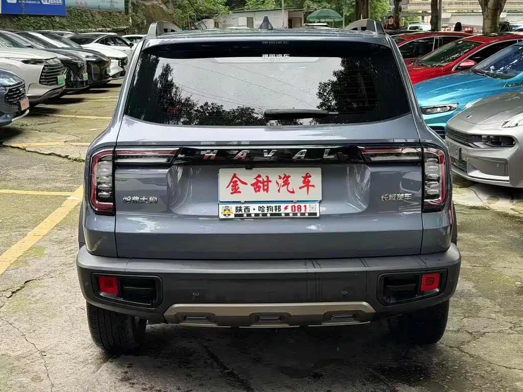 Haval Dargo 哈弗大狗 2021款 改款 1.5 T DCT两驱马犬-旺财版