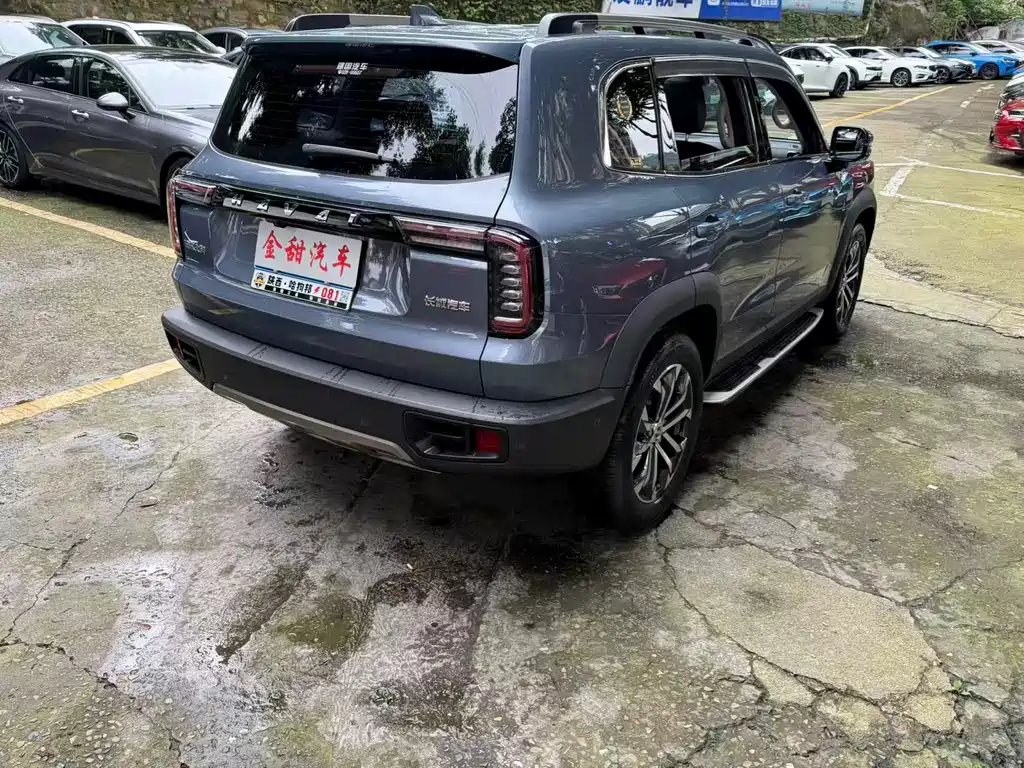 Haval Dargo 哈弗大狗 2021款 改款 1.5 T DCT两驱马犬-旺财版