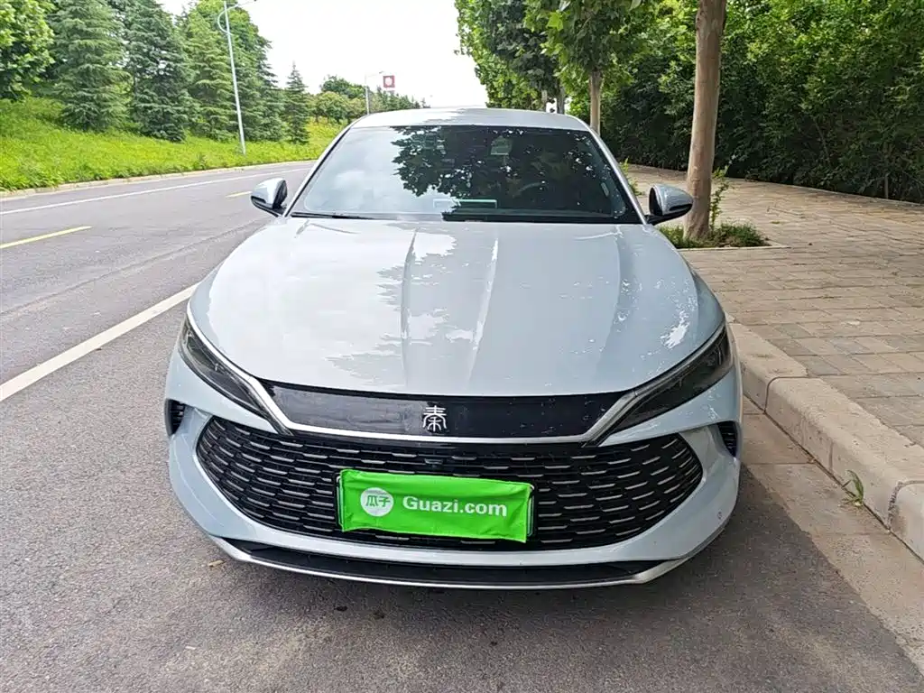 Qin L DM-i 80 KM Transcend