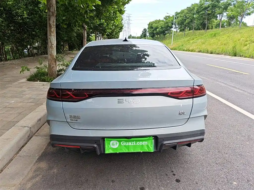 Qin L DM-i 80 KM Transcend