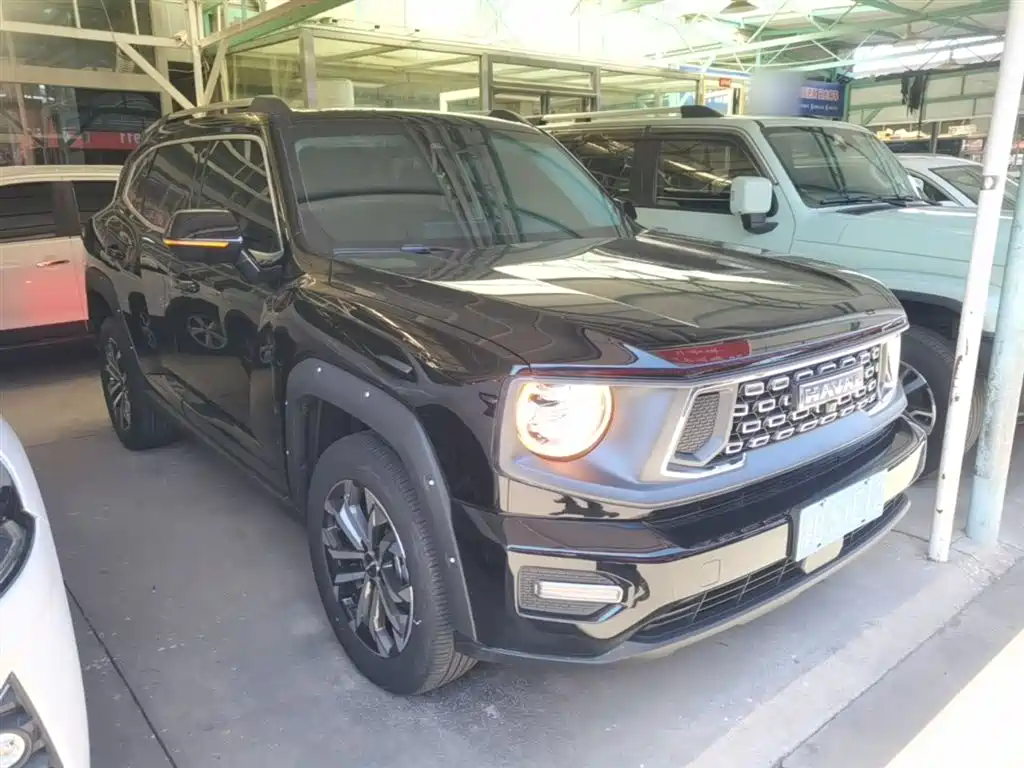 Haval Dargo PLUS 2.0 T 2 WD Trend Wild Plus