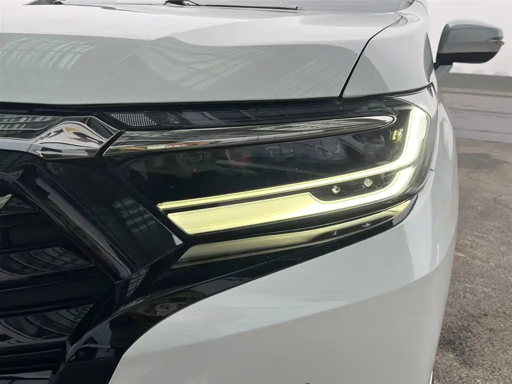 Elysion 2.0 L e:HEV Luxury Early Enjoyment