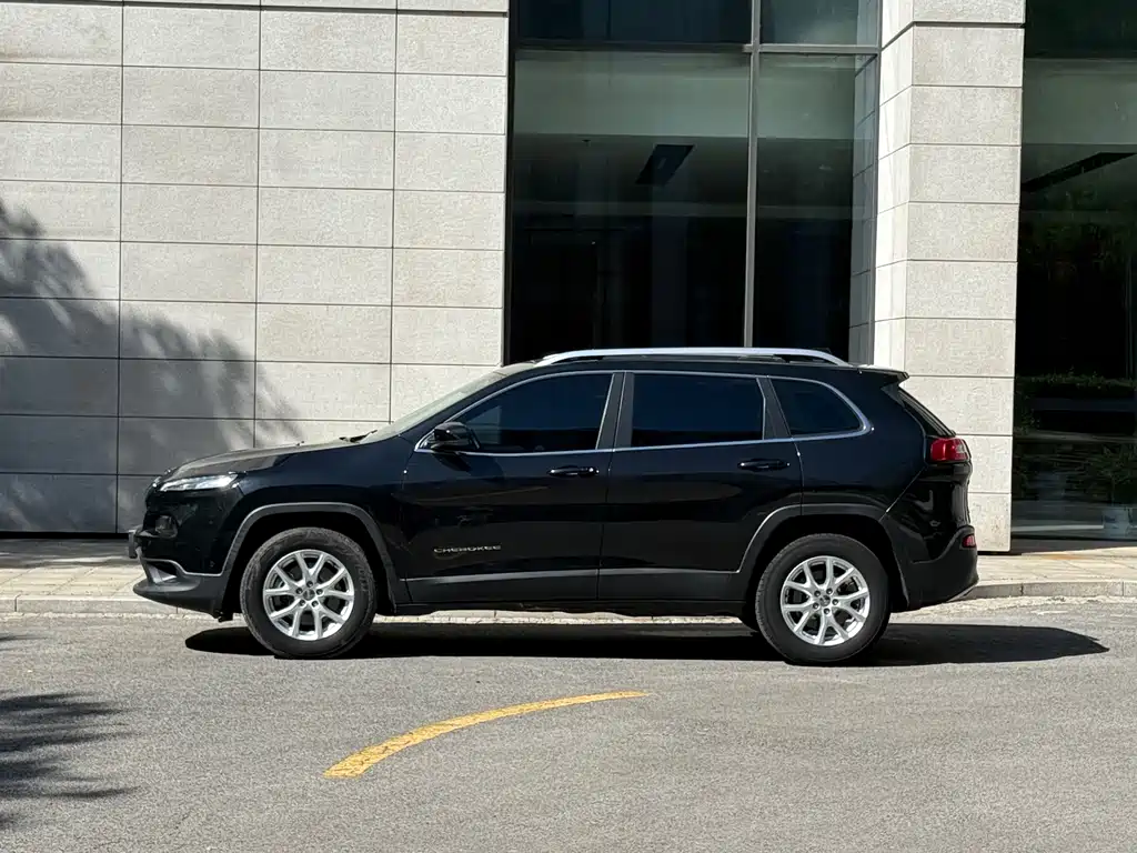 Cherokee 2.4 L Professional Intelligent