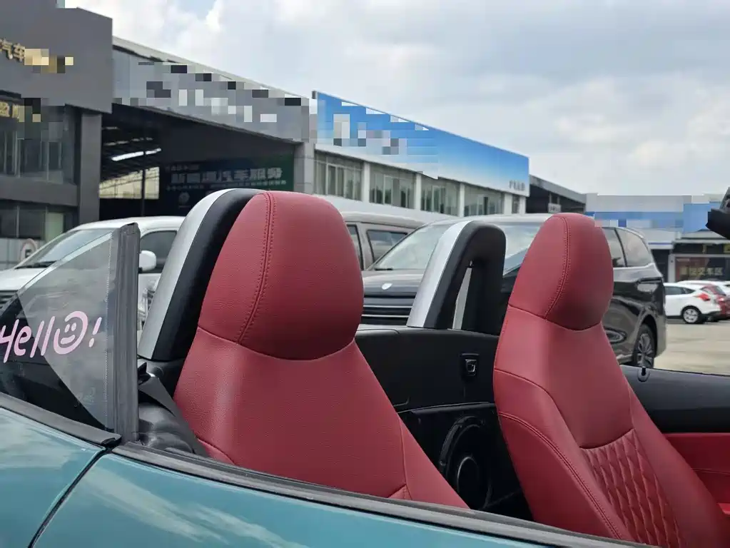 BMW Z4 sDrive23 i Leading