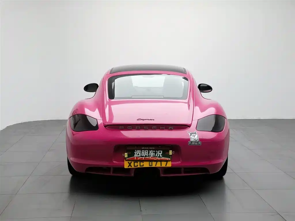 Cayman Cayman 2.9 L
