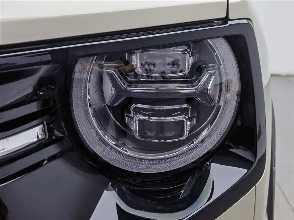 Haval Dargo PLUS 哈弗大狗 PLUS 2026款 2.0 T 四驱潮野版