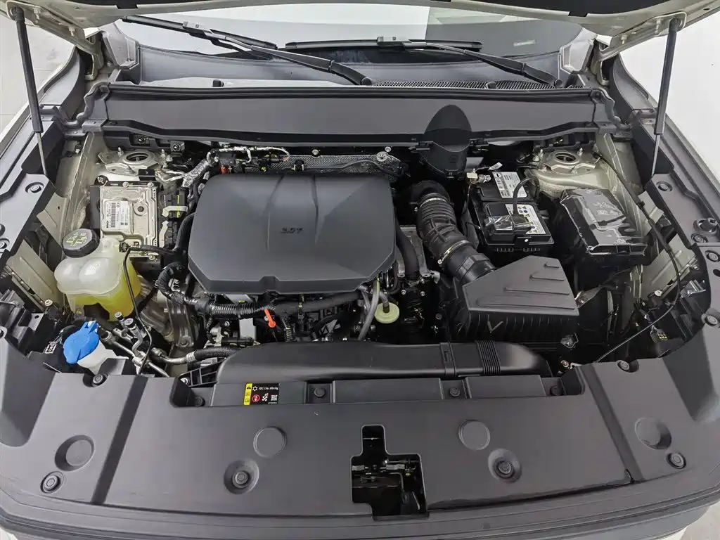 Haval Dargo PLUS 哈弗大狗 PLUS 2026款 2.0 T 四驱潮野版