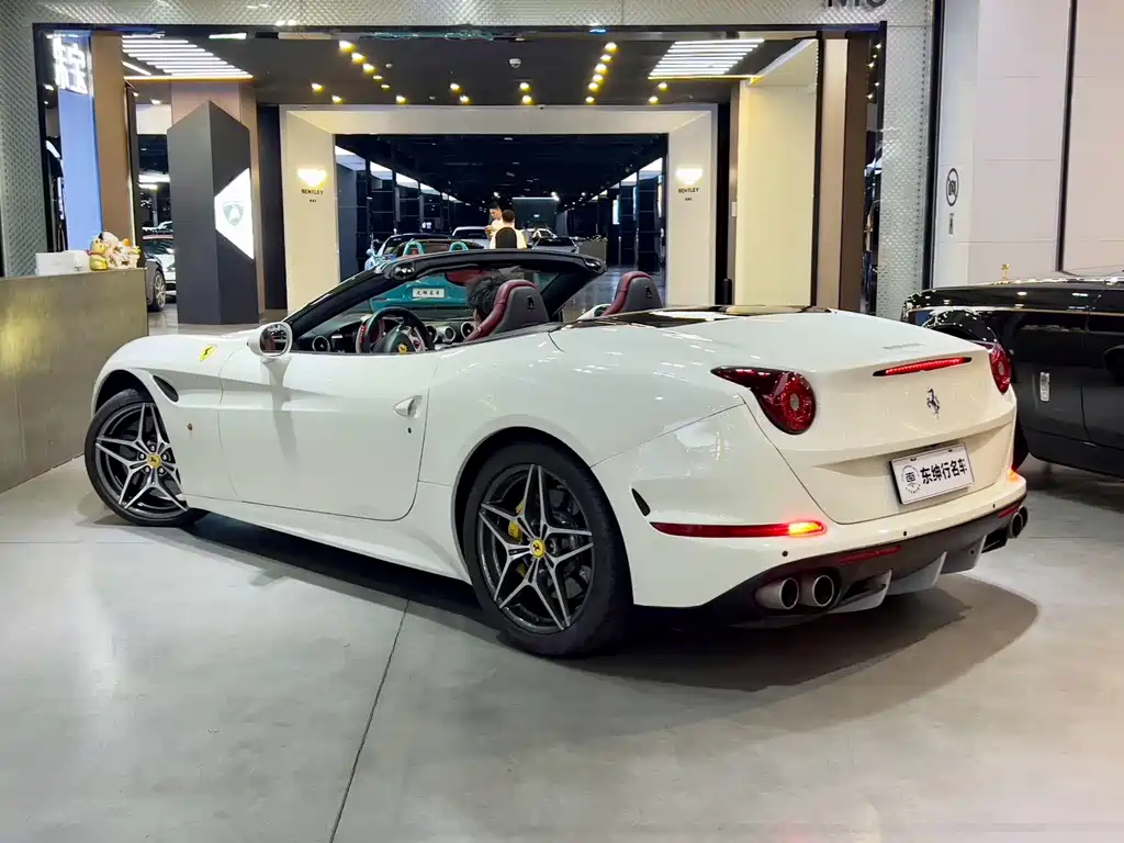 California T 3.9 T Standard