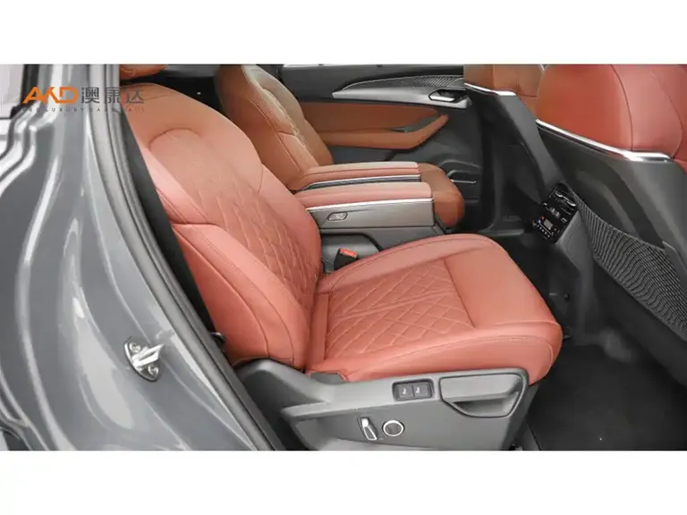Audi Q6 奥迪Q6/2.0 T/23款/45 TFSI quattro影武士版