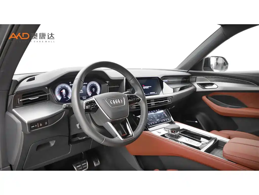 Audi Q6 奥迪Q6/2.0 T/23款/45 TFSI quattro影武士版