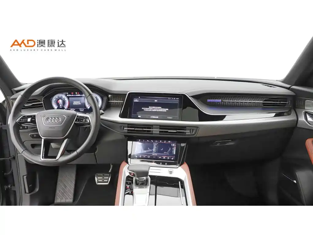 Audi Q6 奥迪Q6/2.0 T/23款/45 TFSI quattro影武士版