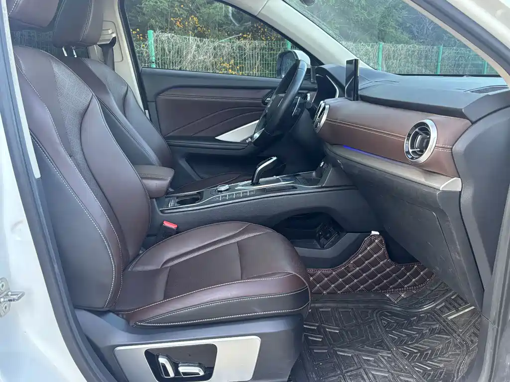WEY VV6 魏牌 VV6 2019款 2.0 T 两驱旗舰型 国VI