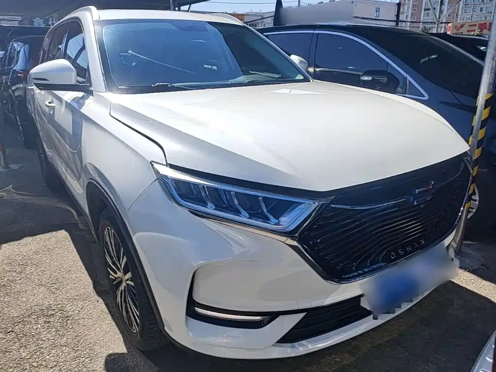 Changan Oshan X7 1.5 T Auto Distinguished