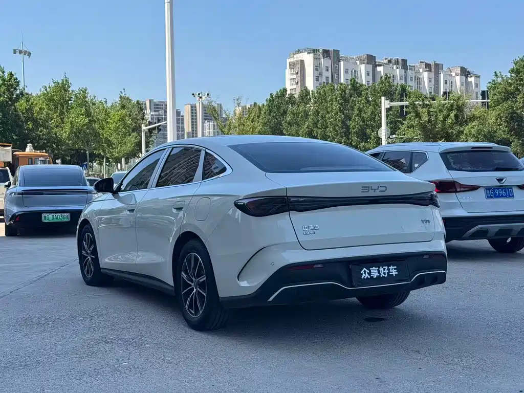 Seal 06 DM-i 120 KM Premium