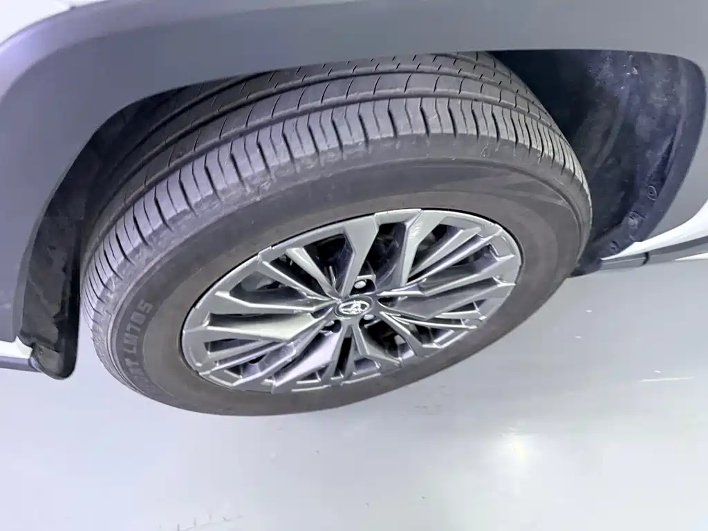 Wildlander 2.0 L CVT 2 WD Luxury PLUS
