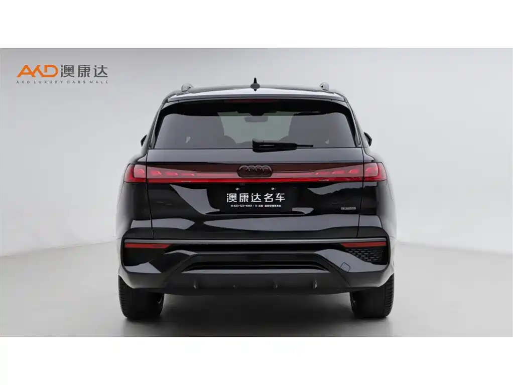 Audi Q6 奥迪Q6/2.0 T/24款/45 TFSI quattro黑武士版 6座