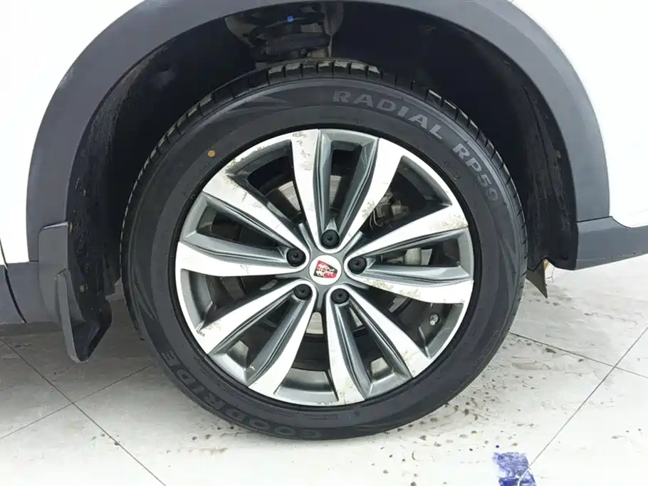 Roewe RX5 MAX 300 TGI Auto Intelligent Cockpit Luxury