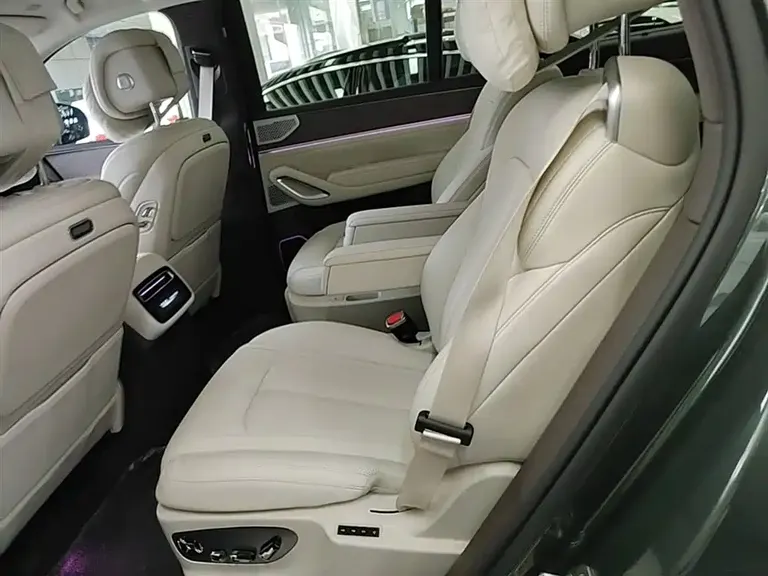 Denza N9 Flagship