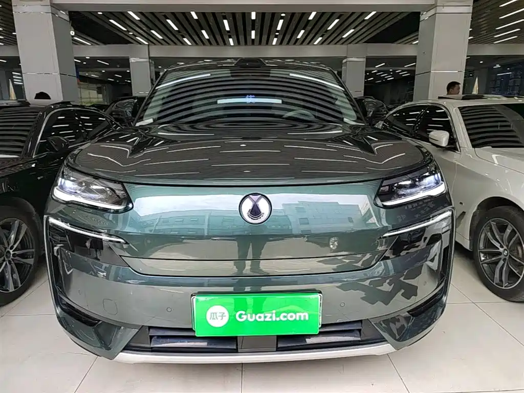 Denza N9 Flagship