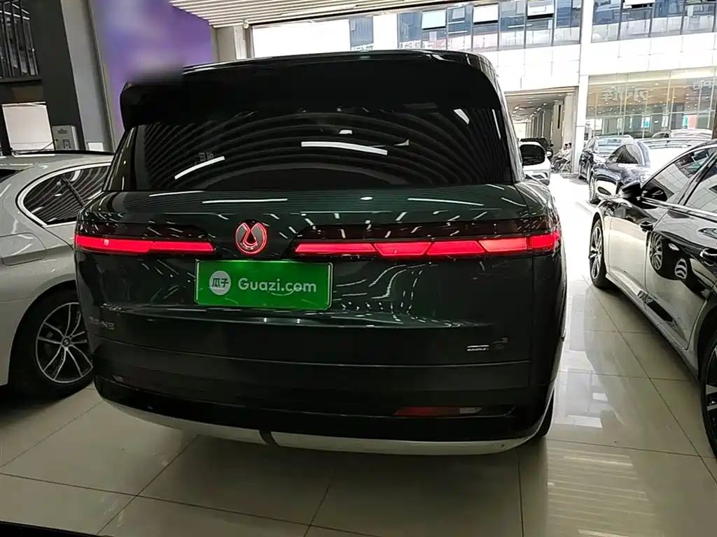 Denza N9 Flagship