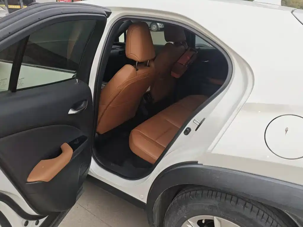 Lexus UX 260 h · CN-V
