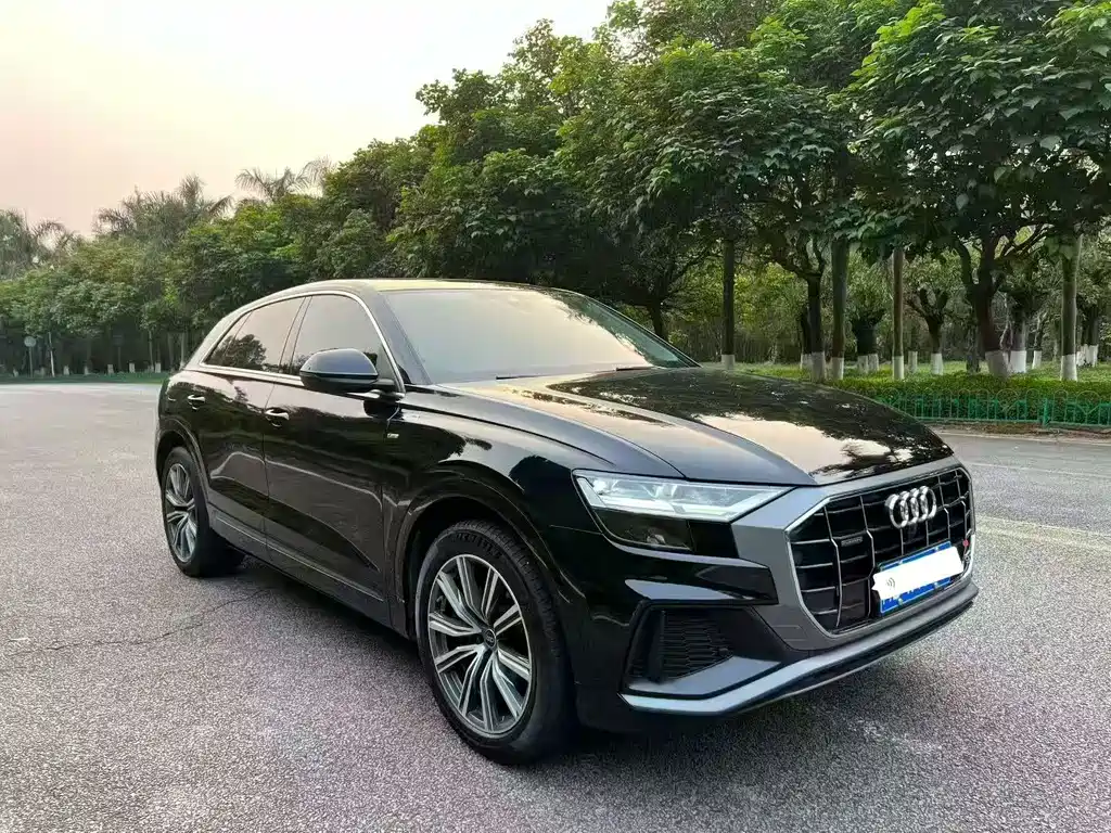 Audi Q8 奥迪Q8 2022款 45 TFSI 臻选动感型