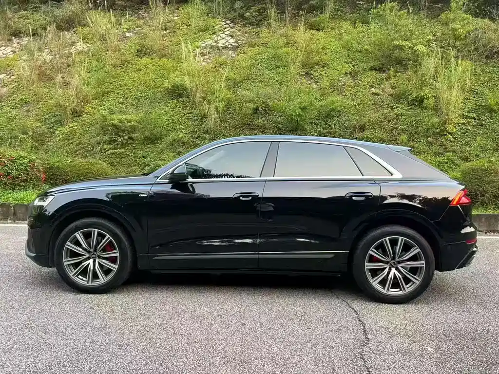 Audi Q8 奥迪Q8 2022款 45 TFSI 臻选动感型