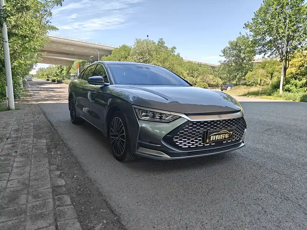 Han DM 4 WD Performance Luxury