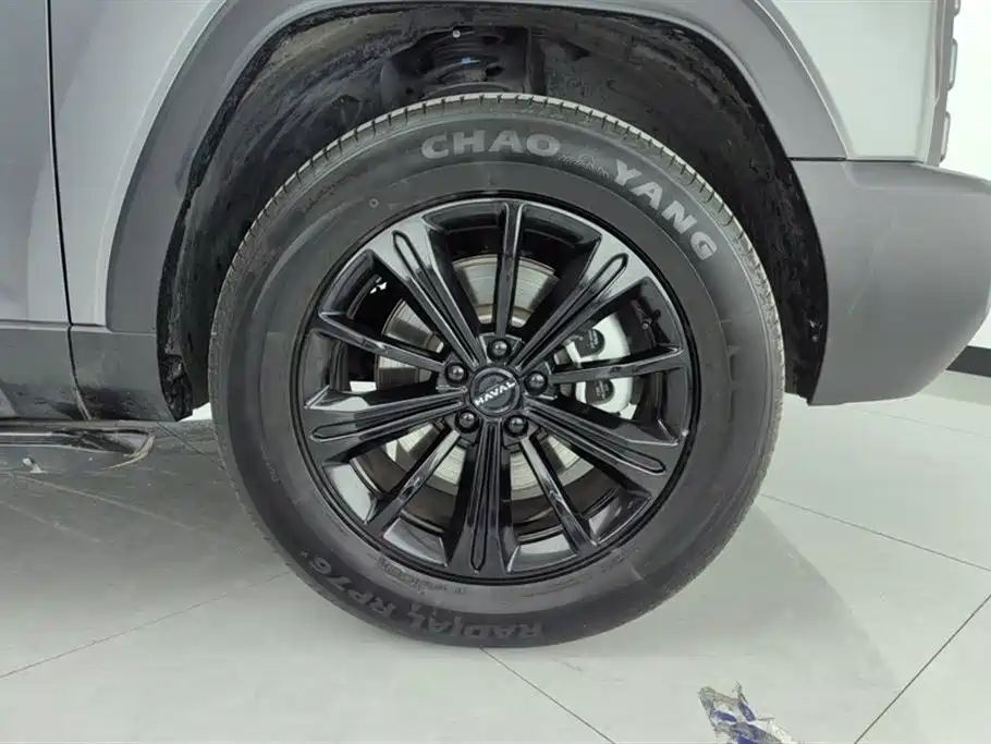 Haval Menglong NEV Hi4 102 Pro