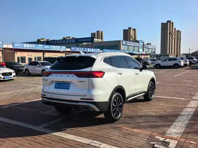 Haval H6 China Style 1.5 T Auto Urban