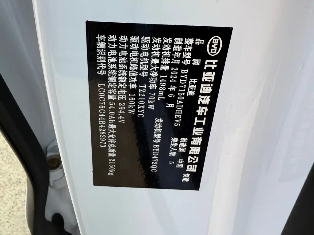 Seal 06 DM-i 120 KM Flagship
