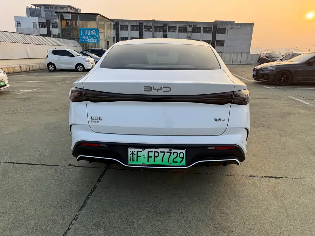 Seal 06 DM-i 120 KM Flagship