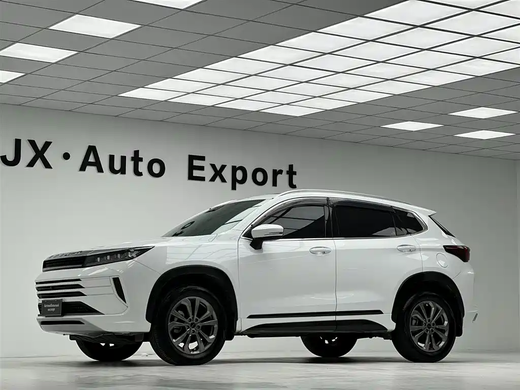 Exeed Zhuifeng 星途追风 2024款 1.5 T CVT好事花生版