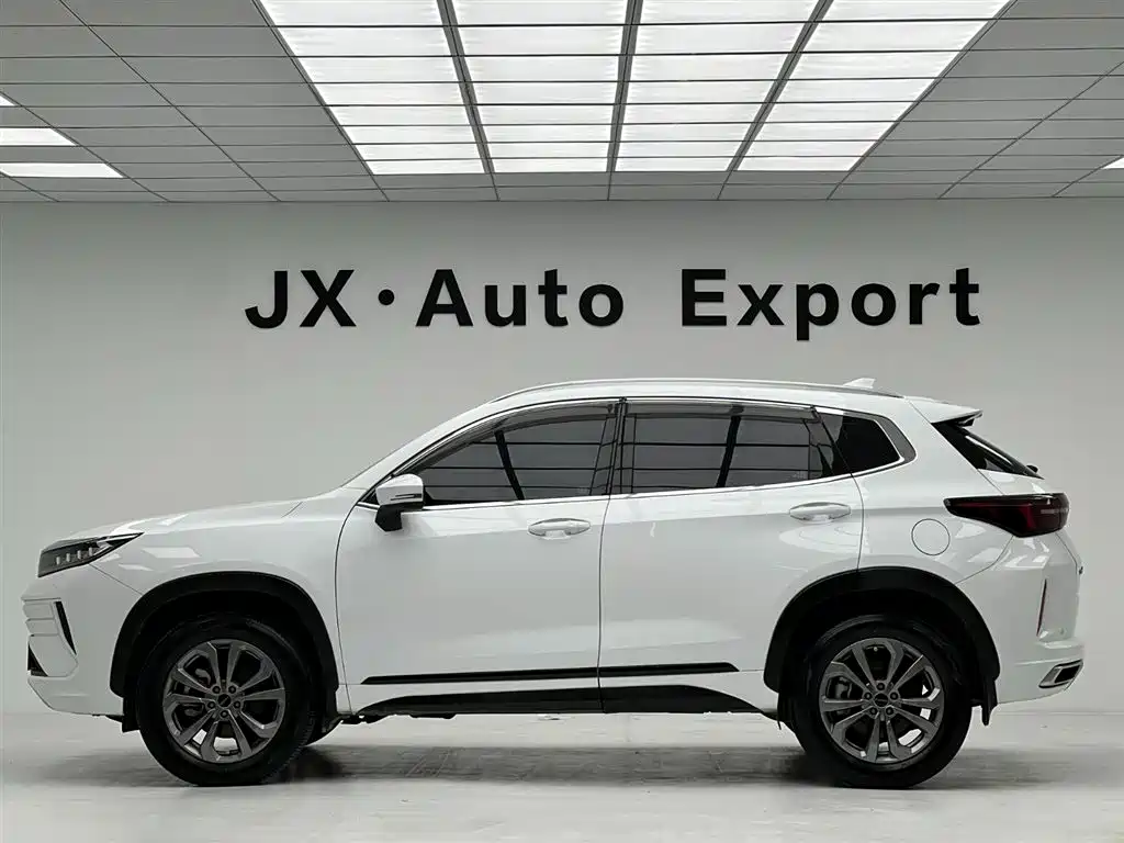 Exeed Zhuifeng 星途追风 2024款 1.5 T CVT好事花生版