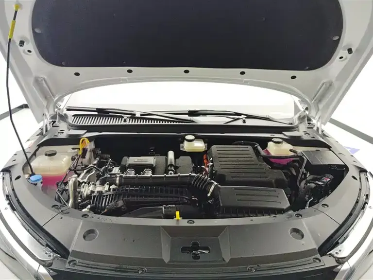BYD Qin L DM-i 80 KM Leading