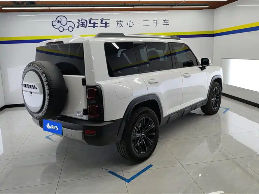 Haval Menglong NEV Hi4 102 Pro